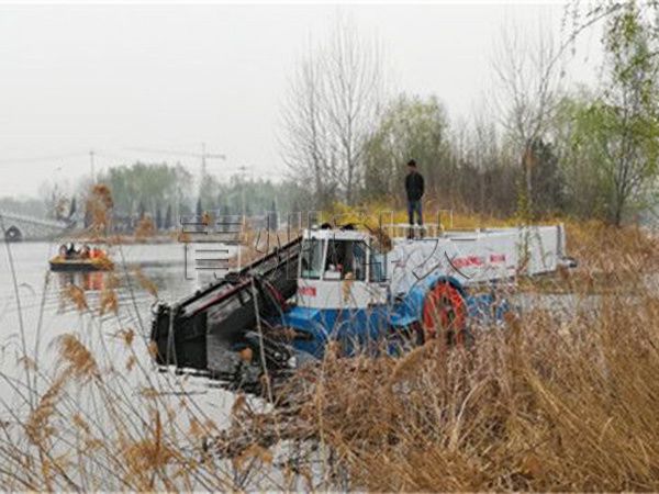 北京景區(qū)割草船工作現(xiàn)場(chǎng).jpg