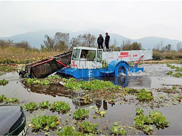 水葫蘆收割打撈船.jpg